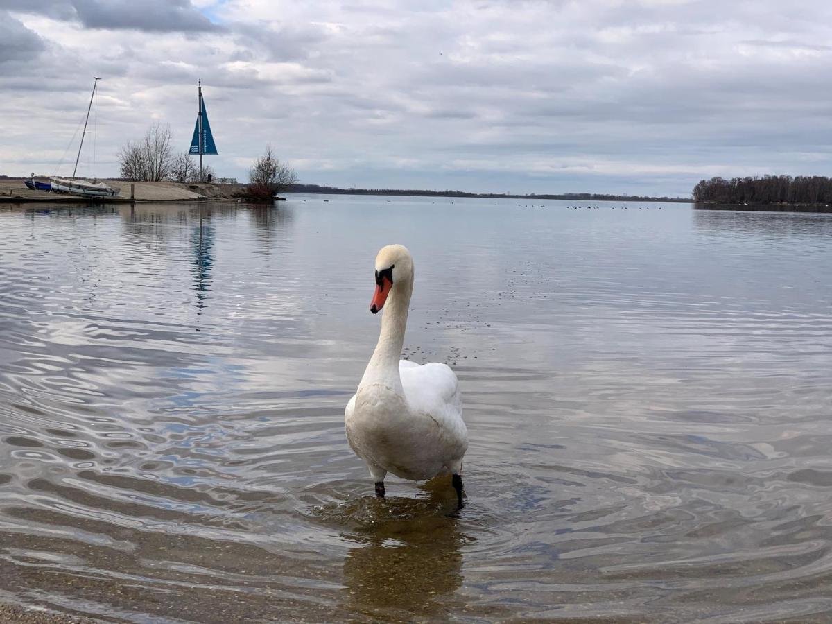Badhoophuizen 6-Per Bungalow Veluwemeer Trampoline Hulshorst Kültér fotó